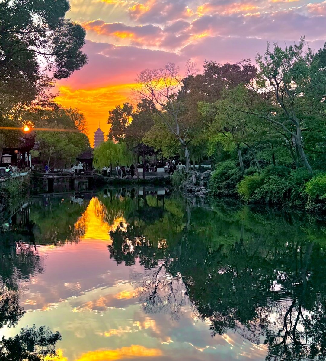 xinyu337's tweet photo. White walls and black tiles set off blooming lotuses. Every step reveals a view in summer Suzhou. https://t.co/kZWSdLFXs2