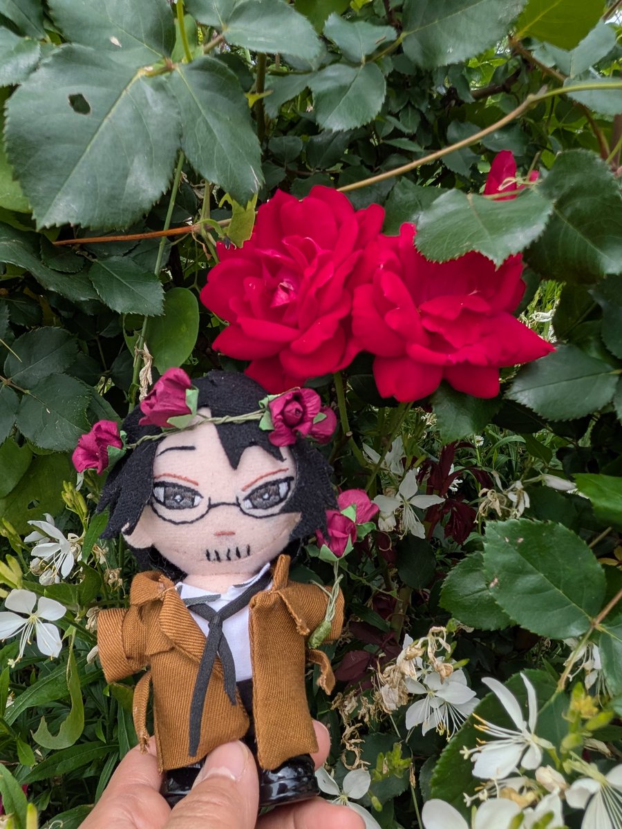 V6B0bXFEXvqnsm5's tweet photo. ぬいズにバラのツタを纏わせて、バラを見に行ってきた🥀
やしおじには花かんむりと花束、ましぬいにはあのアクキー風の装いで…。
綺麗だったなあ🌹 https://t.co/IDmY0a0sxc