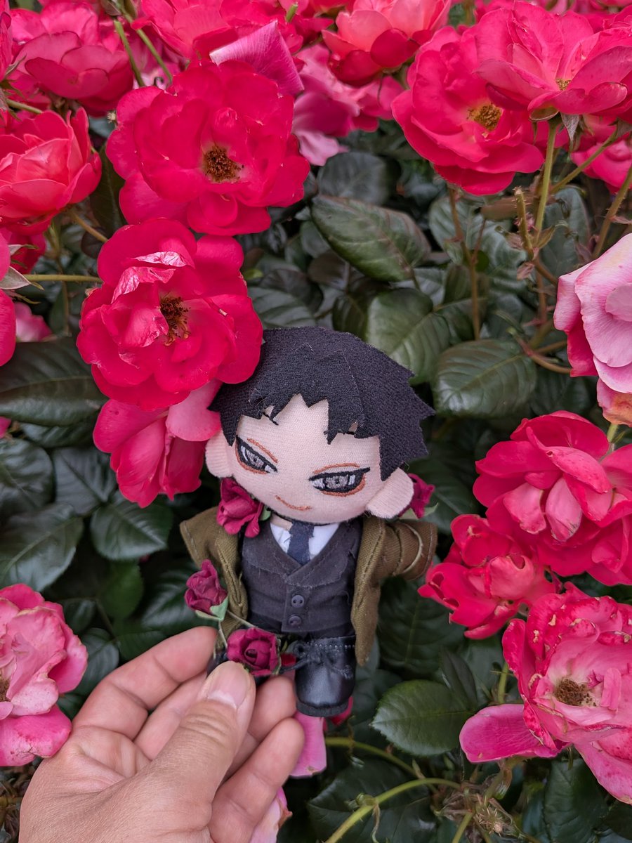 V6B0bXFEXvqnsm5's tweet photo. ぬいズにバラのツタを纏わせて、バラを見に行ってきた🥀
やしおじには花かんむりと花束、ましぬいにはあのアクキー風の装いで…。
綺麗だったなあ🌹 https://t.co/IDmY0a0sxc