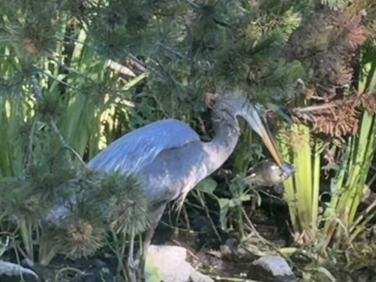 samueldwelsh's tweet photo. Fishing with gbh! https://t.co/RTMoxO0MEq
