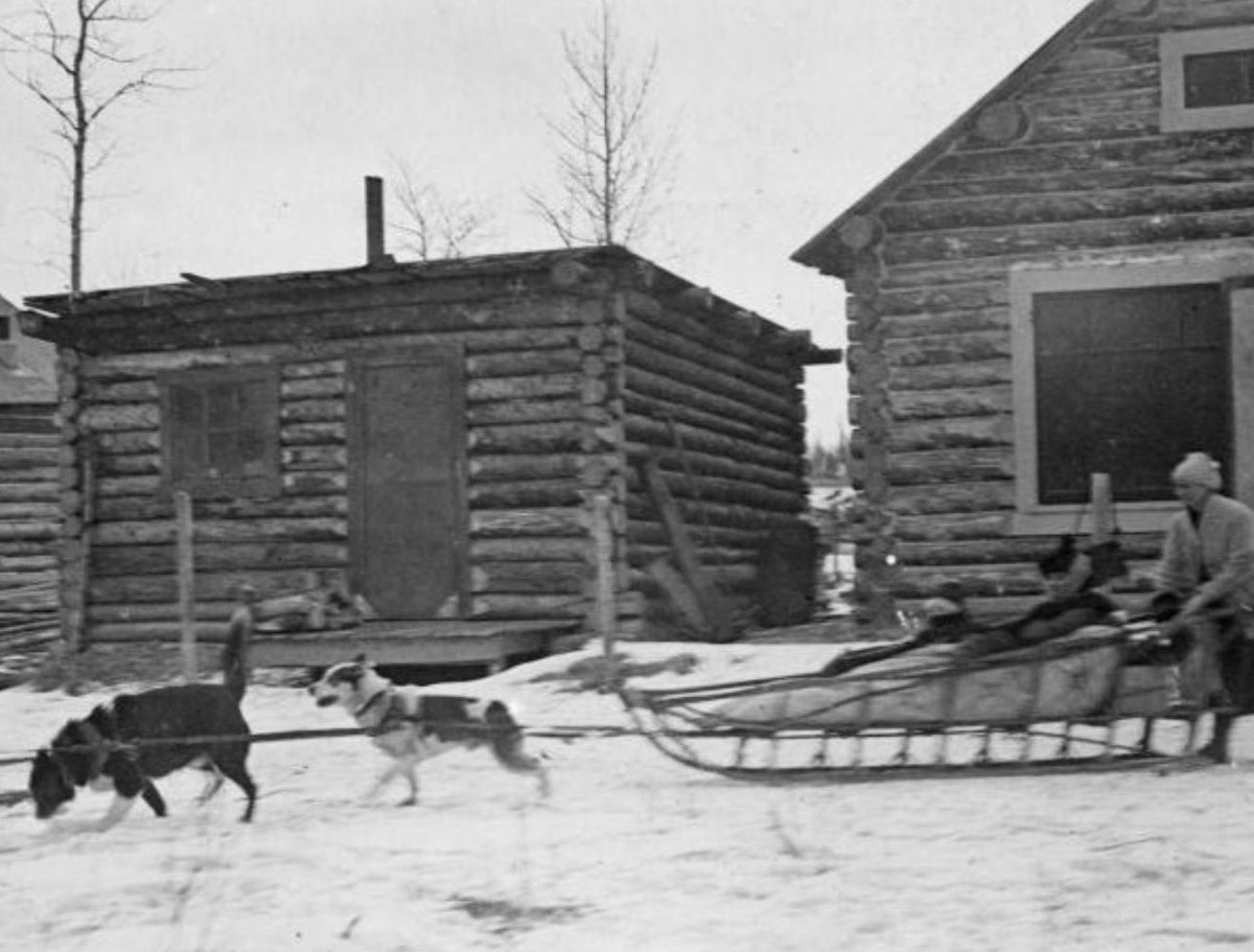 PastPreserved's tweet photo. The nearest usable serum was found nearly 700 miles away. It was shipped by train as far as the small town of Nenana, but from there the medicine still had to cross almost 700 miles of some of the harshest terrain in North America. https://t.co/haaNC1LTHq