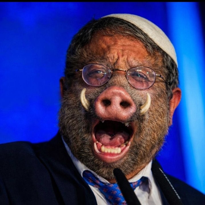 offenvoz's tweet photo. @Blueberry2609 @DerechaDiarioIS Wow vaya que eres un goyim obediente. Pobre idiota 😅 https://t.co/POU2FnrZGZ