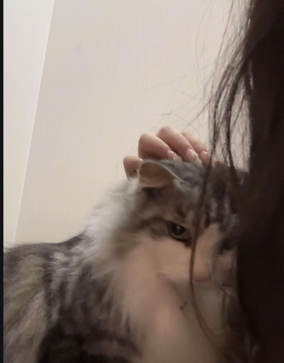 salmonnn_00's tweet photo. がちかわいい https://t.co/lilHtssmy3