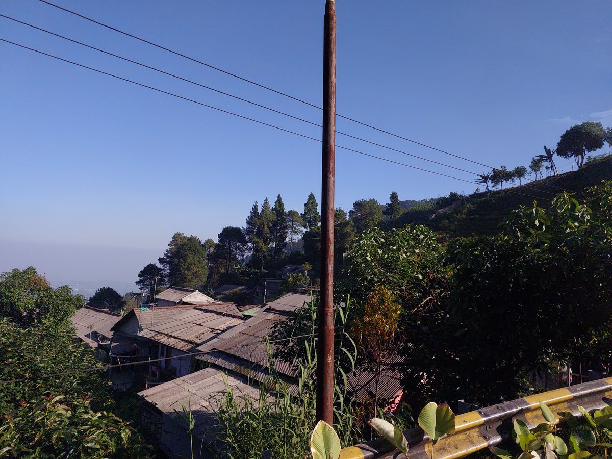 sumireshaming's tweet photo. Gonna start climbing nowww https://t.co/f05moZB5cm
