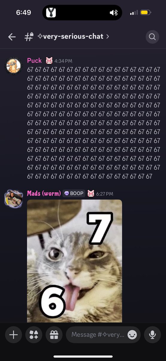 Boopers 💜✨ tweet media