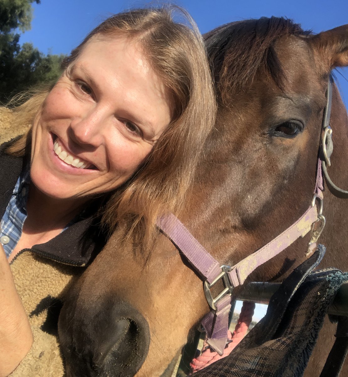 GloriousAllianc's tweet photo. My @freshstarttblc continues to throw the net out to find new monthly donors! Please consider donating to our 501(c)(3) charity FreshStart Thoroughbred Lifecare. We advocate for a comprehensive retirement plan that provides lifetime care, rehabilitation, retraining and a future for thoroughbred race horses who need someone to love them and a pasture they can call home. To donate using Paypal, use this link: https://t.co/JBtrTURZQI Please ask us for our Zelle or for our address to send checks, if that is preferable. Thank you for your consideration!
