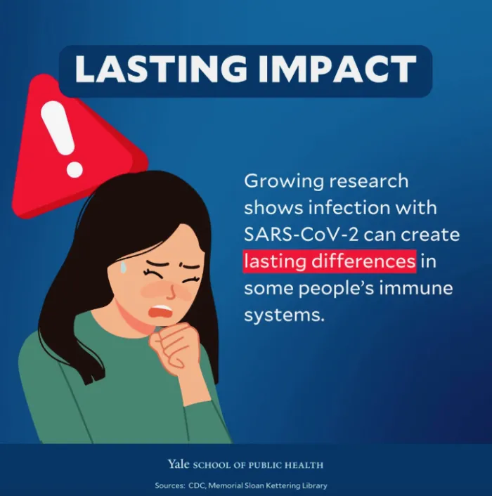 BigBadDenis's tweet photo. 🧵"What we know (and don't) about Covid-19's effect on the immune system."

1. Lasting impact
2. This looks like...
3. 5-20%

Source:  https://t.co/2Y48VsLvWR https://t.co/KAFLd3cTKy
