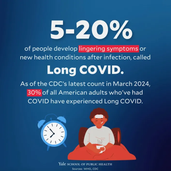 BigBadDenis's tweet photo. 🧵"What we know (and don't) about Covid-19's effect on the immune system."

1. Lasting impact
2. This looks like...
3. 5-20%

Source:  https://t.co/2Y48VsLvWR https://t.co/KAFLd3cTKy