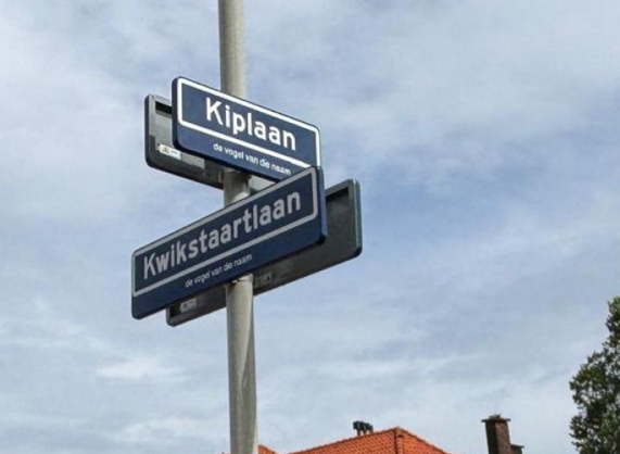 Mirjam152's tweet photo. Je kon er op wachten: bij toelichtingen op straatnaamborden slaat de ambtenarij weer door. Zo kunnen we nu op de borden lezen dat de kwikstaart, kip en rietzanger vogels zijn. En geen slavenhandelaren.  

Haagse ambtenaar: "In het Besluit Naamgeving staat dat er een toelichting op de borden moet." 🙄 

https://t.co/kp6bGwnYU6