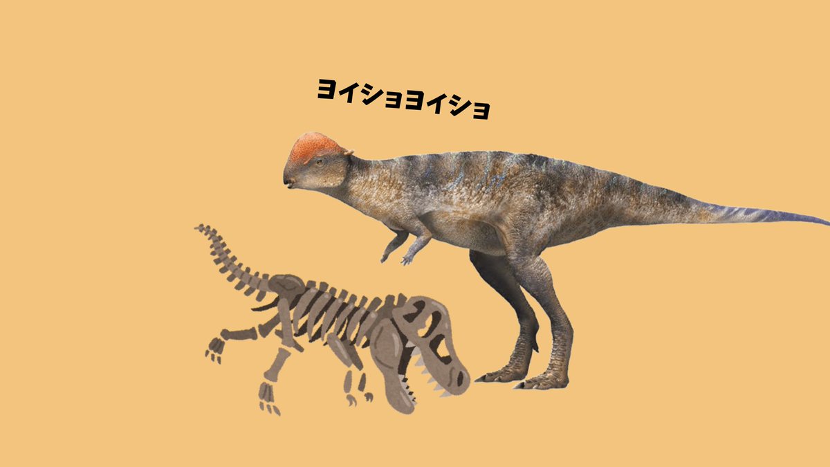 thedinosaur_FS's tweet photo. 3日後に #大恐竜展 で展示されるザヴァケファレ https://t.co/fXiHufolbq