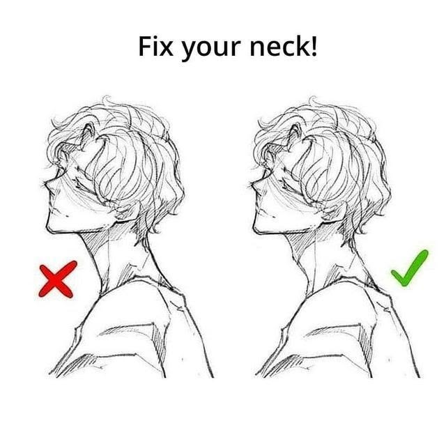 designatlasexp's tweet photo. The neck leans forward. Not straight up. 🗣️✏️ https://t.co/bgeOAJXupH