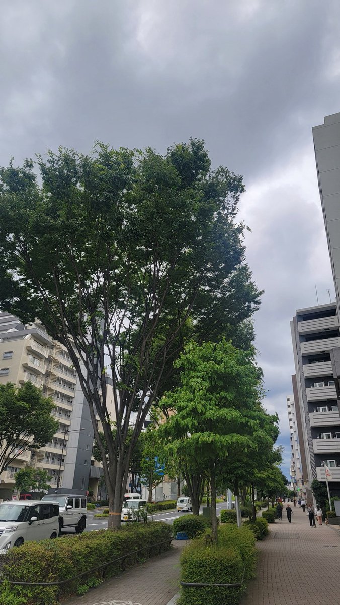 orangepub1983's tweet photo. 今週のオレンパ予定は♥️
毎日18時にオープンするわ
6/8(月)お休みだわ
9(火)りょうた
10(水)ヒロ
11(木)ヒロ/りょうた
12(金)りょうた/ヒロ/ショウジ
13(土)ヒロ/りょうた/ジュン/たすく
14(日)りょうた/ヒロ
梅雨入りしたわ🎵 https://t.co/qIcHFaoscN