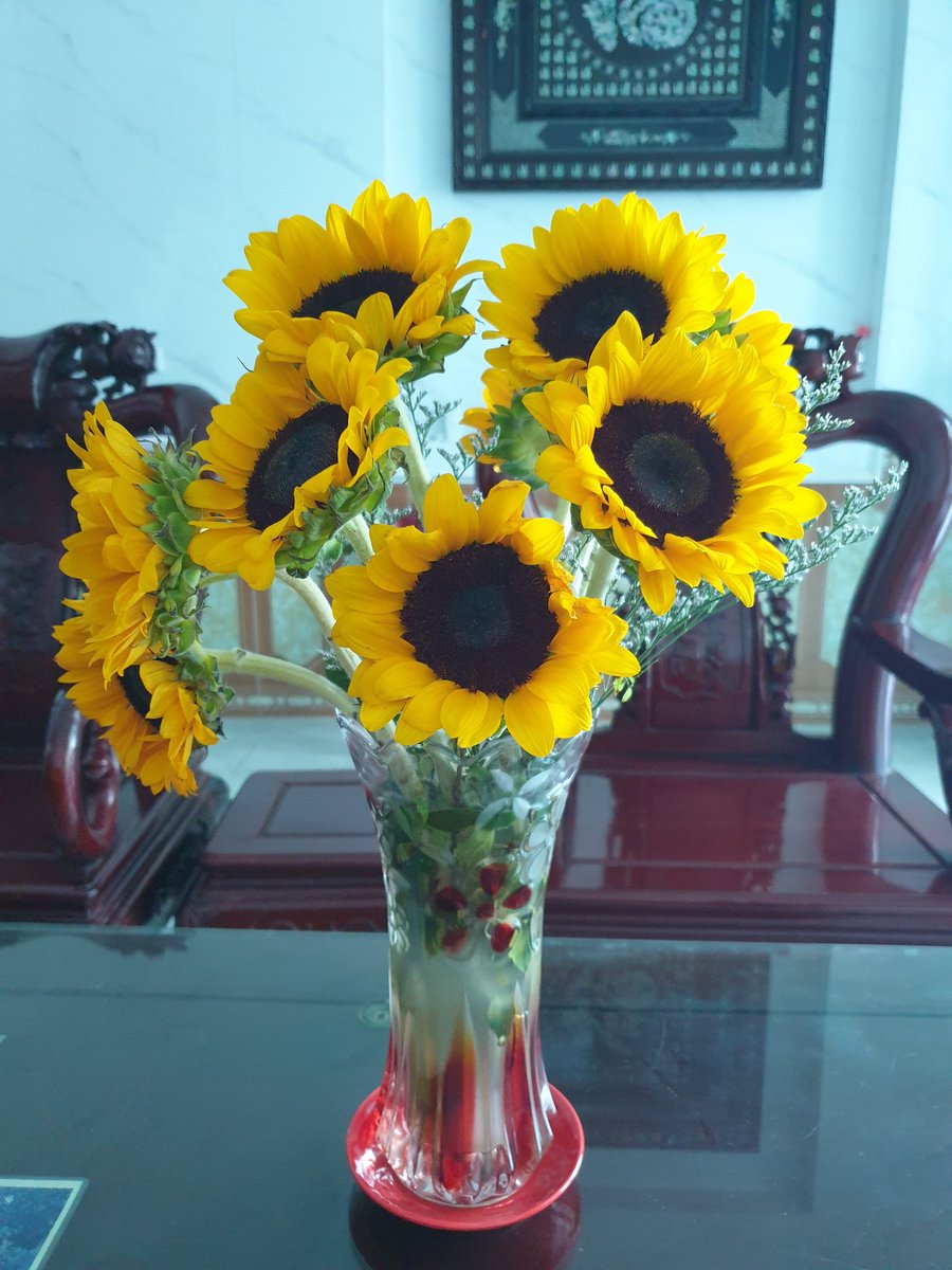 Phạm Nhạn tweet media