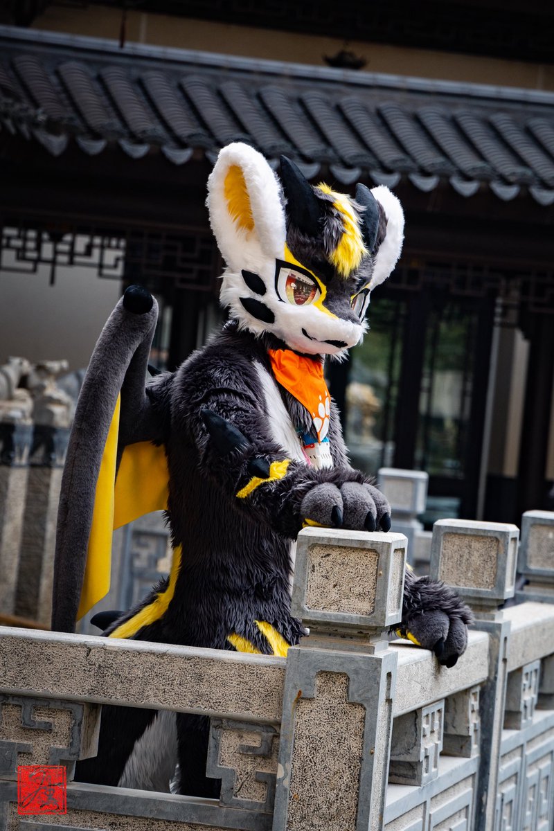 brightcloud_fur's tweet photo. 老大，龙还没死喵
需要龙服务的可以排队了喵
猫车包接包送 https://t.co/qyV9BgrA1x