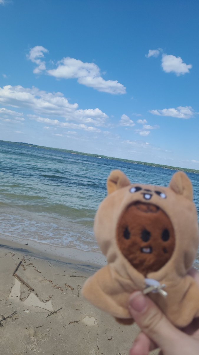 Anxious_Ash_'s tweet photo. GUYS I LOST MY HAN QOUKKA PLUSH AT GOV BALL SATURDAY 😭  please please please if anyone has found him contact me PLEASE I left him with my friends and while moving spots at the Verizon stage he got lost somehow. he was like 5$s on AliExpress or something, it's unofficial- https://t.co/LYbqPsl0HQ