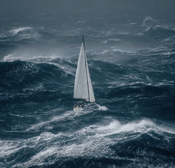 MittCPA's tweet photo. a smooth sea never made a skilled sailor https://t.co/d9cN9FKvbh