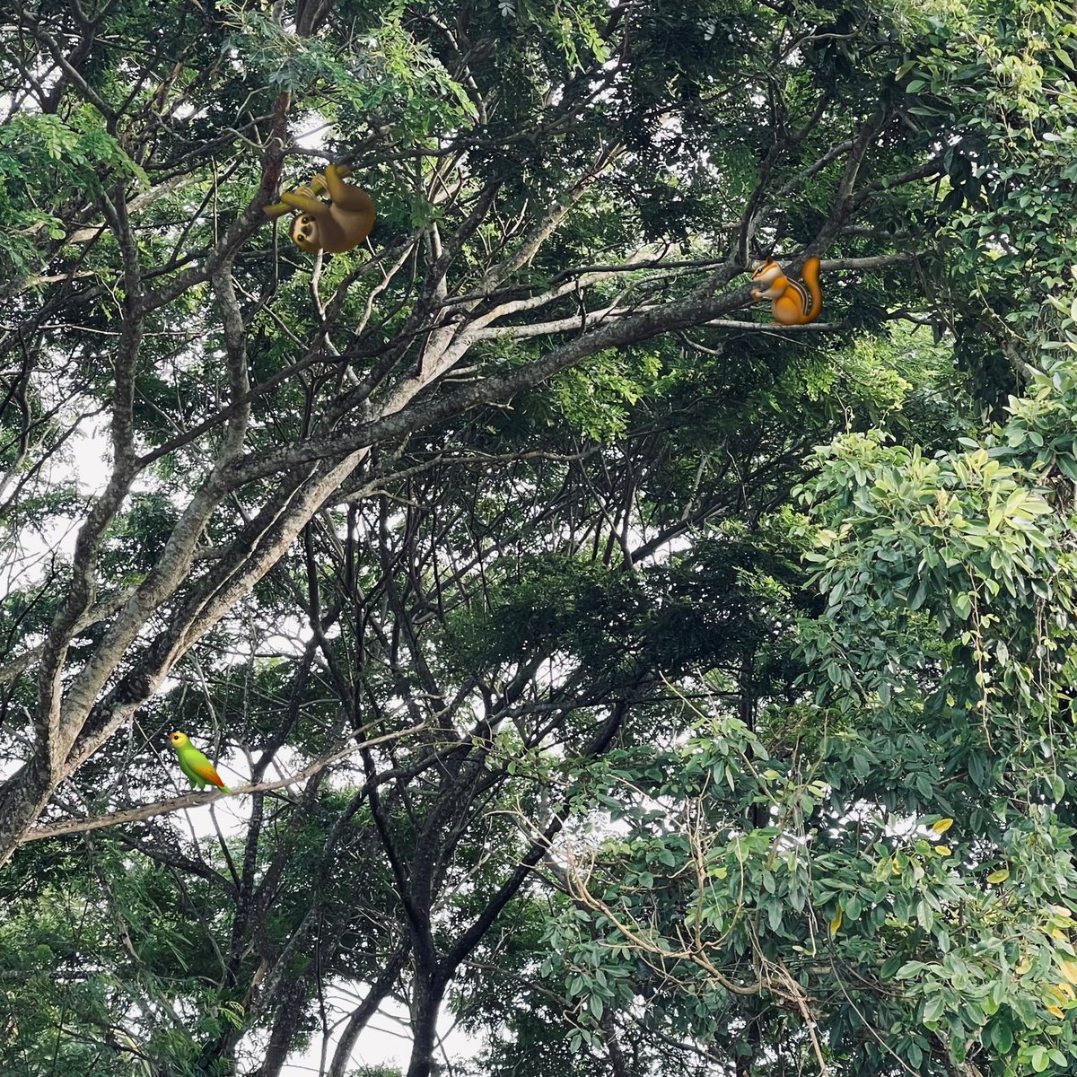 NongZon_Domundi's tweet photo. วันนิอากาศสดชื่นมั่กกกก 🍃🦥🦜🐿️ คัยพบเจออะไรไม่ดีก้ขอหั้ยโฟกัสแต่สิ่งดี ๆ นะงับ 🫶🏻😚

#BabyNongZon 
#ไข่เจ๋งซน https://t.co/MmDkYUHFVV
