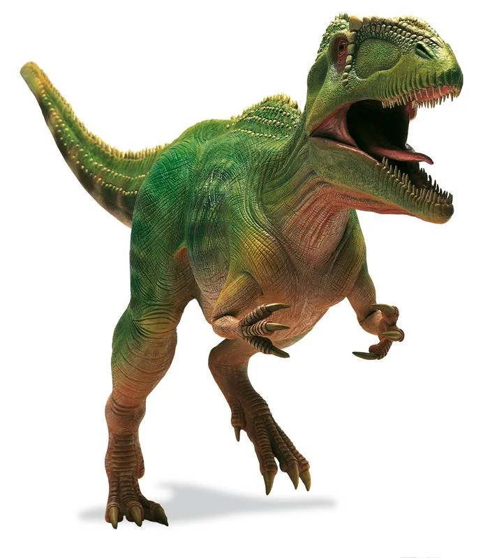 TheHannahcast's tweet photo. I wish more dinosaur books had classic DK-style dinosaur models. They looked SO good. https://t.co/fOboAWIBIS