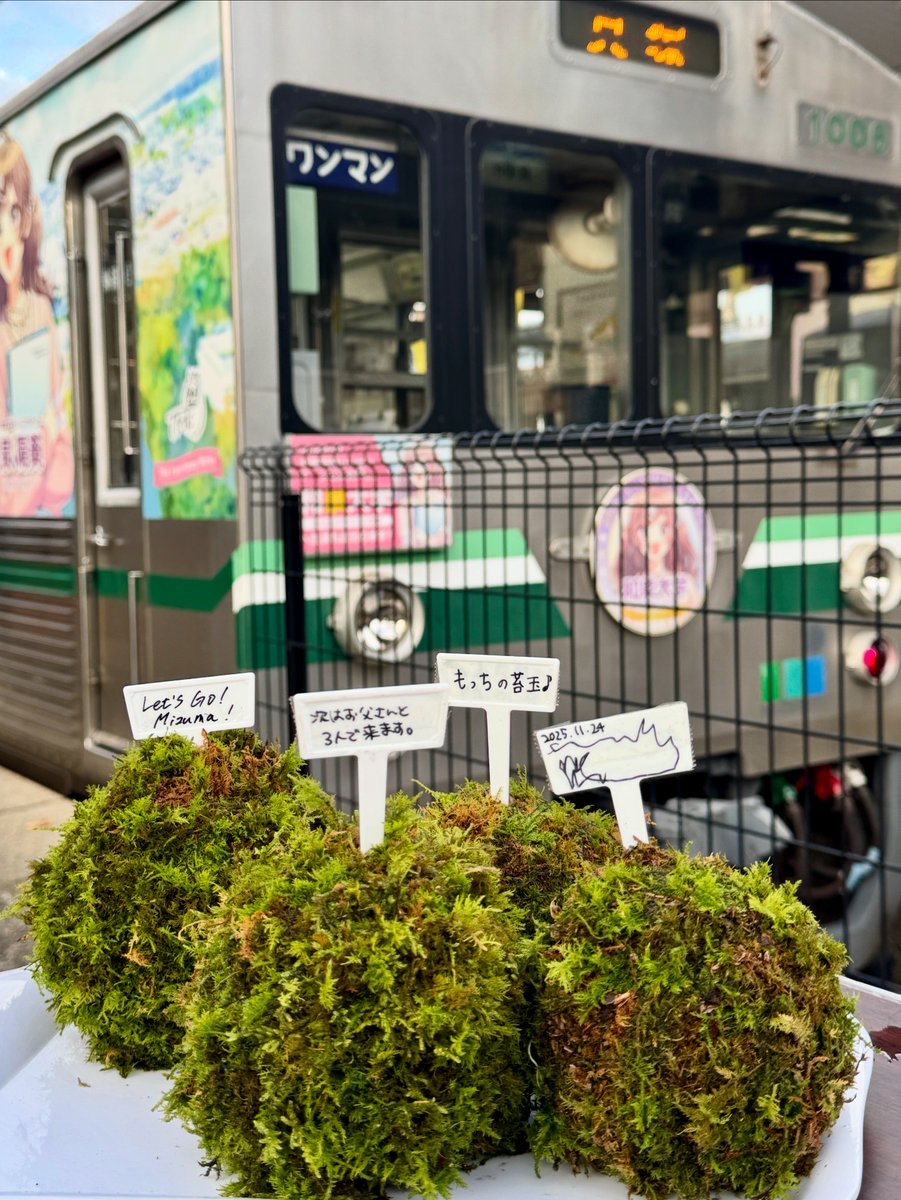 MizumaRailway's tweet photo. 苔玉ワークショップを開催します！
2026.6.13(土)
場所：水間観音駅構内
時間：10時～16時30分ごろ
※雨天の場合は中止
自分だけのオリジナル苔玉を作って水間観音駅に飾ってみよう！
https://t.co/d54FSyHeBY https://t.co/nZP3oO9TyK