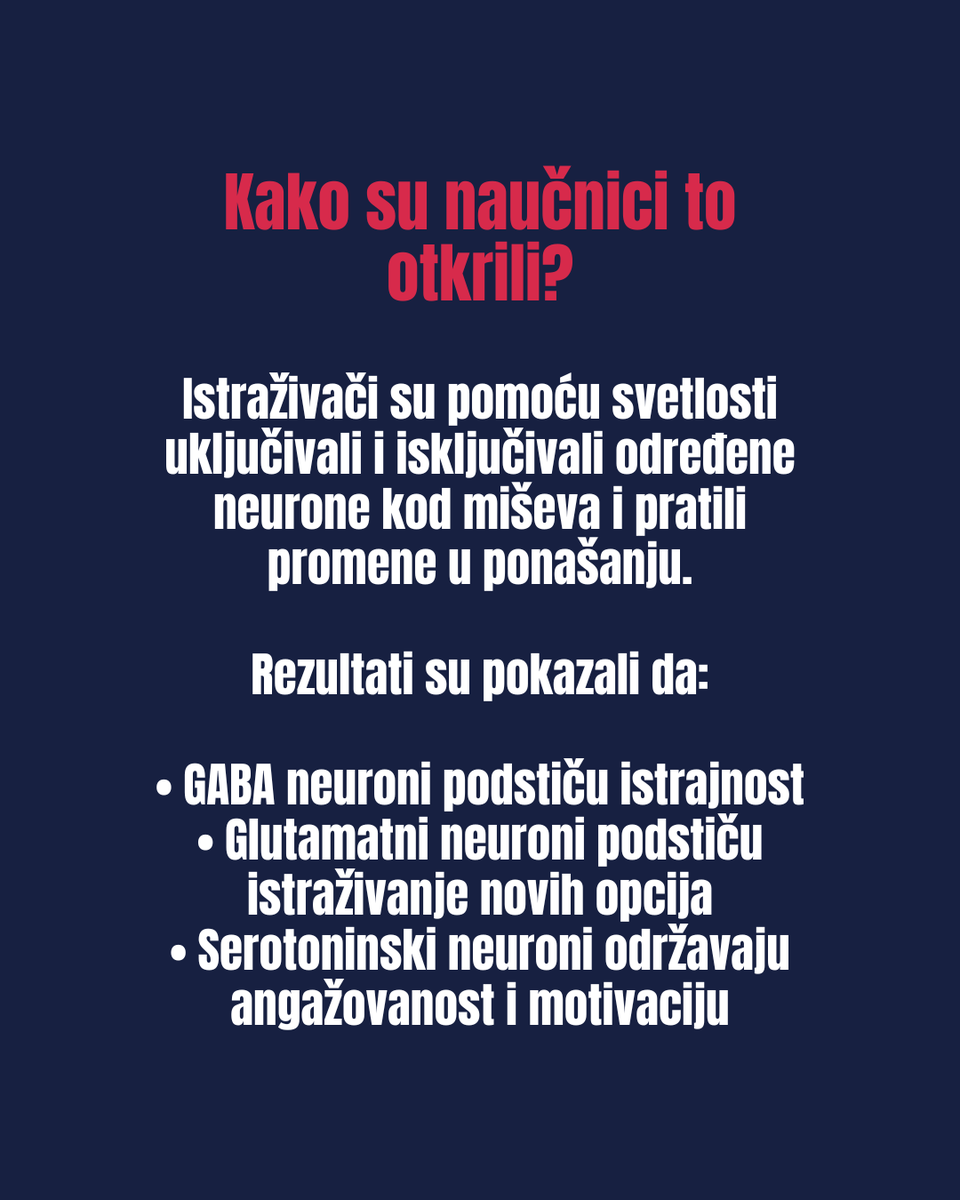 SRB_Researchers's tweet photo. 📢 Da li znate…

🧠 …kako mozak odlučuje da li ćemo istrajati ili odustati?

📖 Čitajte više na: https://t.co/xVvIIsgg53 https://t.co/2FYFN05JLH