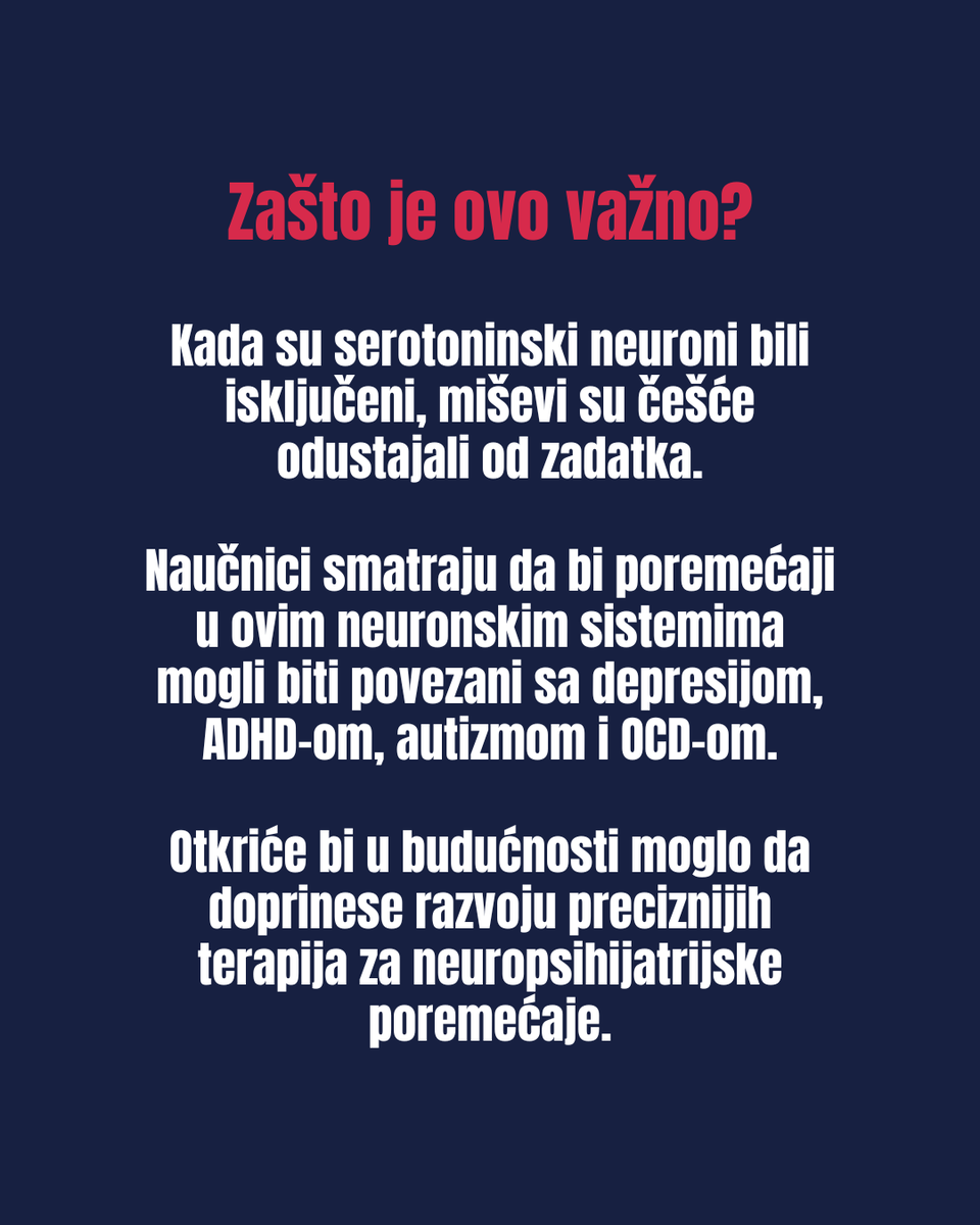 SRB_Researchers's tweet photo. 📢 Da li znate…

🧠 …kako mozak odlučuje da li ćemo istrajati ili odustati?

📖 Čitajte više na: https://t.co/xVvIIsgg53 https://t.co/2FYFN05JLH