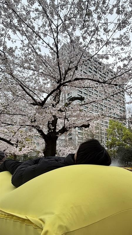 Yogibo Japan 公式 (@yogibojapan) / Posts / X
