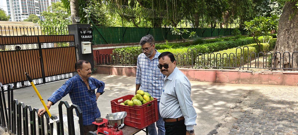 triptinath's tweet photo. It seems it is raining mangoes in the government bungalow of DMK Member of Parliament T R Baalu, on Raisina Road. Freshly picked mangoes on sale right at the gate. https://t.co/b39Kl8wjVV