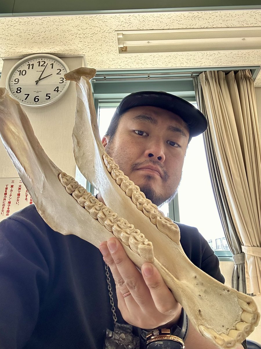 Kyohei166311's tweet photo. 他にもバラフォンやタブラ、ミュージカルソー、チャングやログドラムなど現地で仕入れてきた本物を頂いたのでこれから研究しつつ演奏で使って行きます！！✨
良い加減練習しろってことなのかもしれませんね…笑
全部大切に使わせていただきます！✨ https://t.co/ecpzOfOsMZ