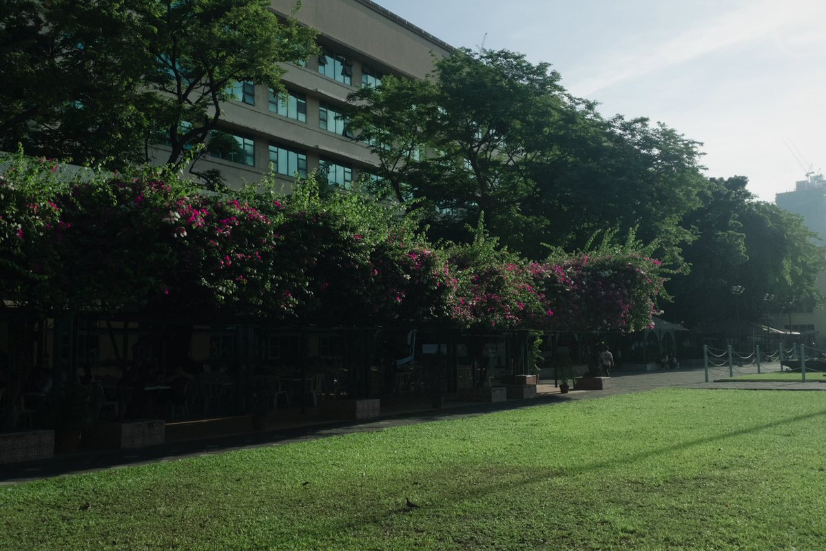 paleblue______'s tweet photo. i love how green our campus is https://t.co/ycvENBrFoR