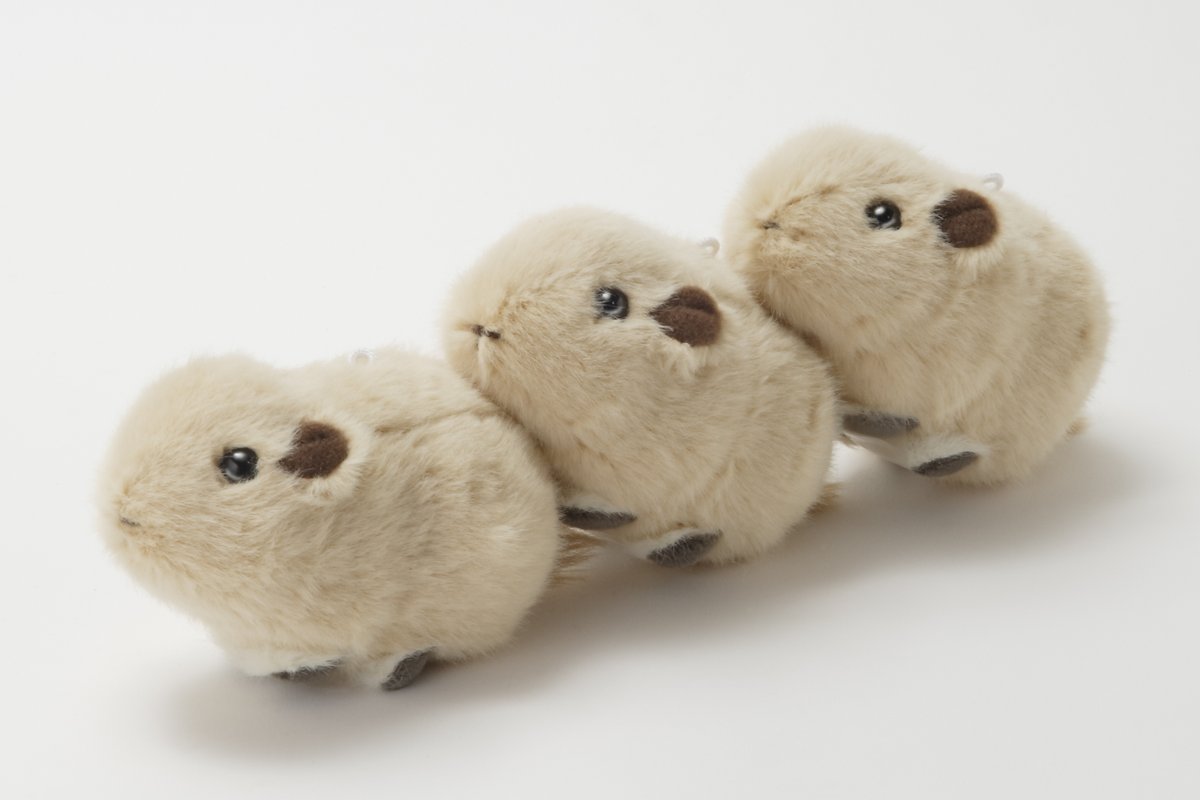 seibutuen_info's tweet photo. #生物園オンラインショップ の方で売り切れとなっておりました「グンディますこっとぬいぐるみ（ボールチェーン付き）」が再入荷しました！
生後2,3週の赤ちゃんグンディと同じくらいのサイズです。
https://t.co/2OwFDHVZin

#足立区生物園 #グンディ #オリジナルぬいぐるみ https://t.co/ahhwUuImS6