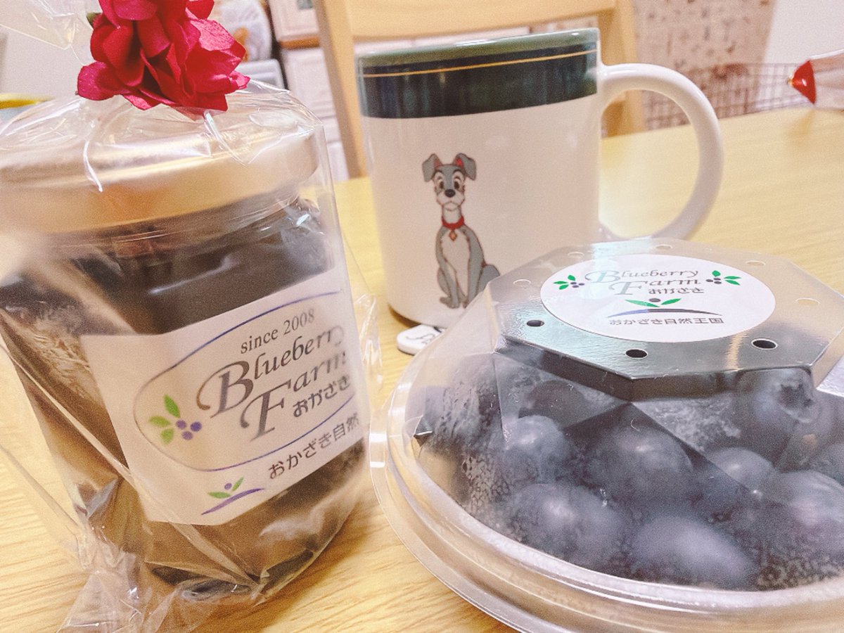 mei_ple's tweet photo. お姉ちゃんからブルーベリー狩りのお土産もらえてハッピー🫐めっちゃうまい😋いっぬも喜んでた🥰
いっぬの散歩行ってたら友達の小学生ちゃんとその友達からいっぱいシールもらえた😂うれち☺️みんな嫌いだからってカリカリ梅ももらった🙌久々に食べたけど酸っぱいね😖 https://t.co/Rc6WsHmfgl
