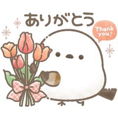 schazzie's tweet photo. @BAR_NGSK https://t.co/vk8KvyhcSR