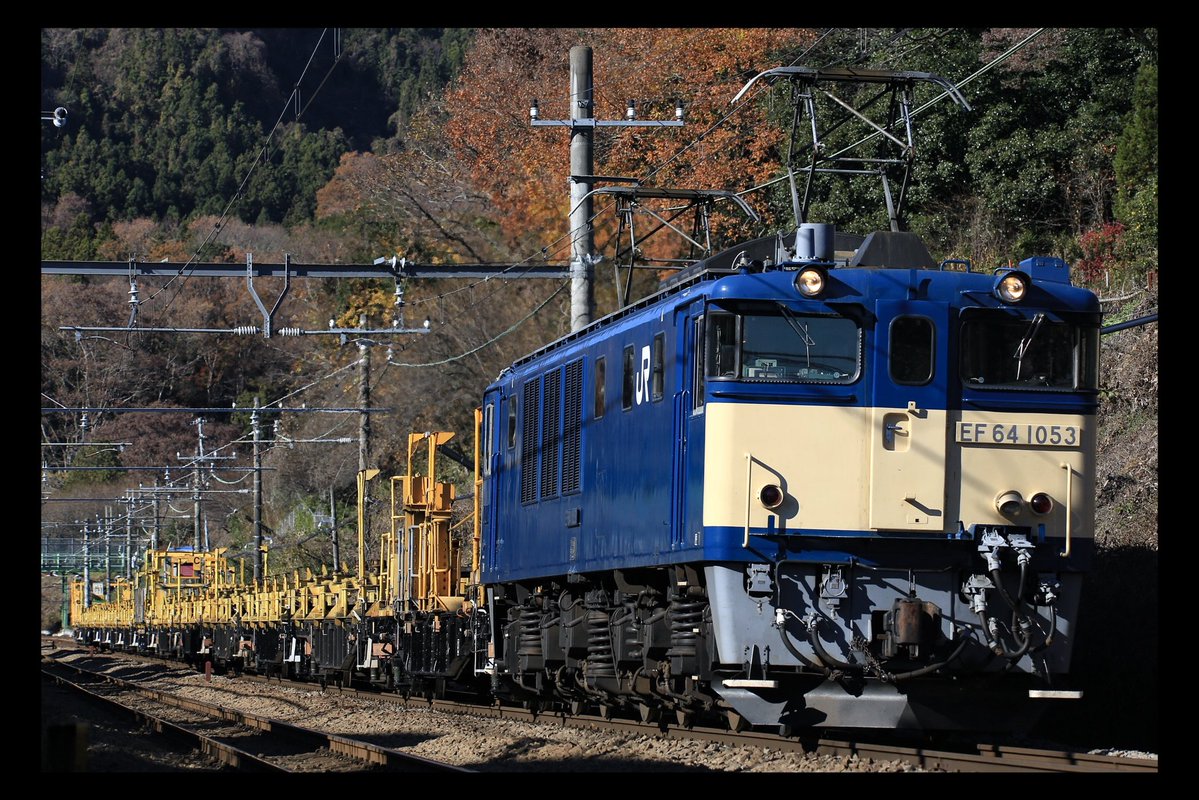 64_allday's tweet photo. 1053 ゴキ編 https://t.co/PN03qoqCBT