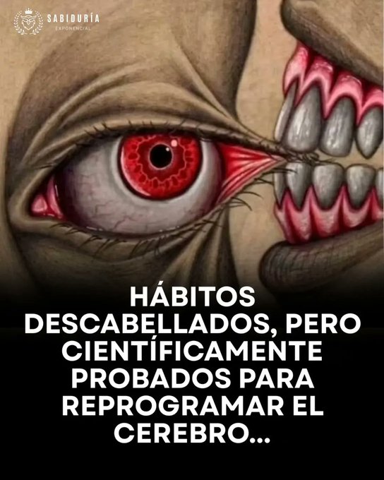 valormental's tweet photo. 19 hábitos que parecen una locura, pero están probados por la ciencia, para reprogramar tu cerebro 🧵 https://t.co/bH65E1nA1F
