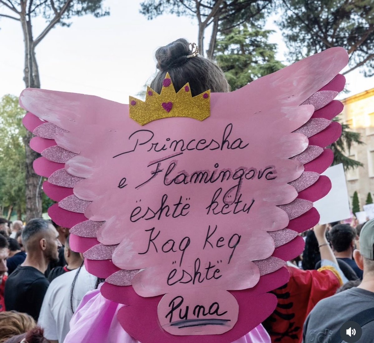 perandorja's tweet photo. Flamingo Princess is here as well 👸#Albaniaisnotforsale https://t.co/QPde7WgLVz