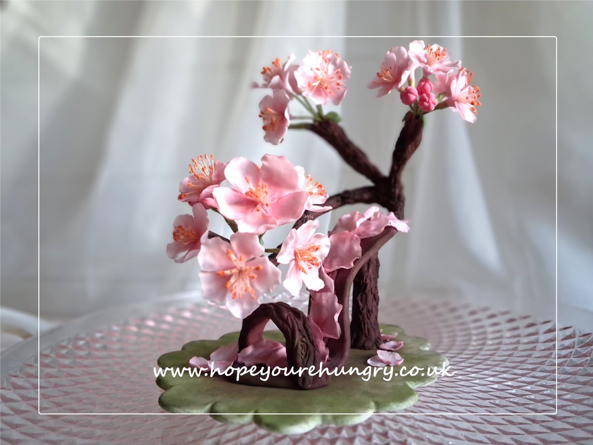 re_hungry's tweet photo. Good morning lovely Hungrys! It's a beautiful day, a fresh week & the #sugarart awaits! Twirling into Monday with my Hanami Heel. Thank you for all your kind support, it's truly appreciated. Have a #delicious day & stay hungry! ;) x #bakeithappen #sugarartist #cake #flowers #cherryblossoms #sakura
