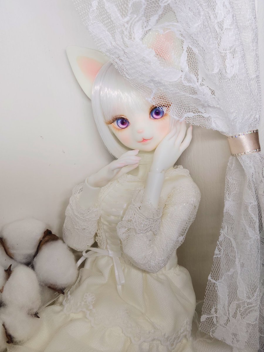 syuff_d's tweet photo. カーテン（レース）越しに見える猫ちゃんって可愛いよね…

お気に入りの場所になったかな？

#VIVIEN
#DEARMINE
#うちのこかわいい https://t.co/asePQ2gnz4