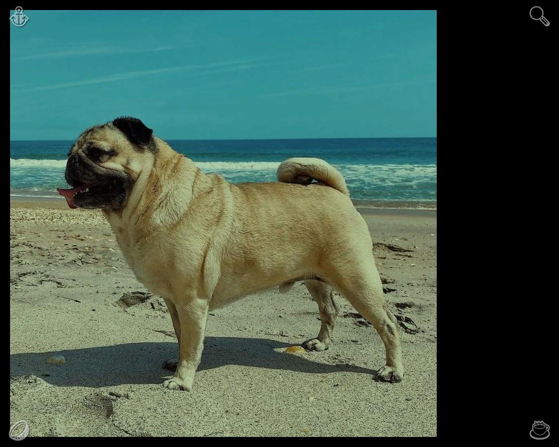 clonips's tweet photo. The dog walk is complete! 🦨 A morning jog enhances your emotional state and banishes feelings of melancholy. Engaging in moderate physical activity releases feel-good endorphins, clearing away gloomy thoughts and maintaining a cheerful, optimistic mindset. https://t.co/LjPxb8f6zm