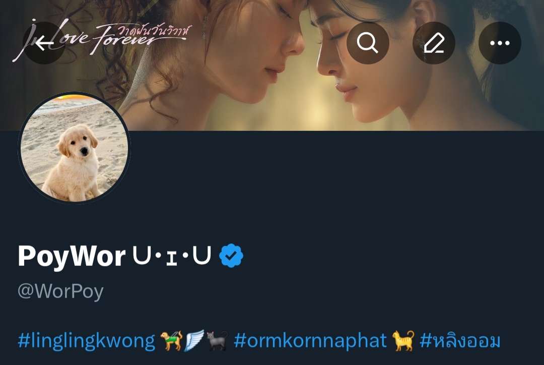 PoyWorชน์ พชรฐากูร tweet media