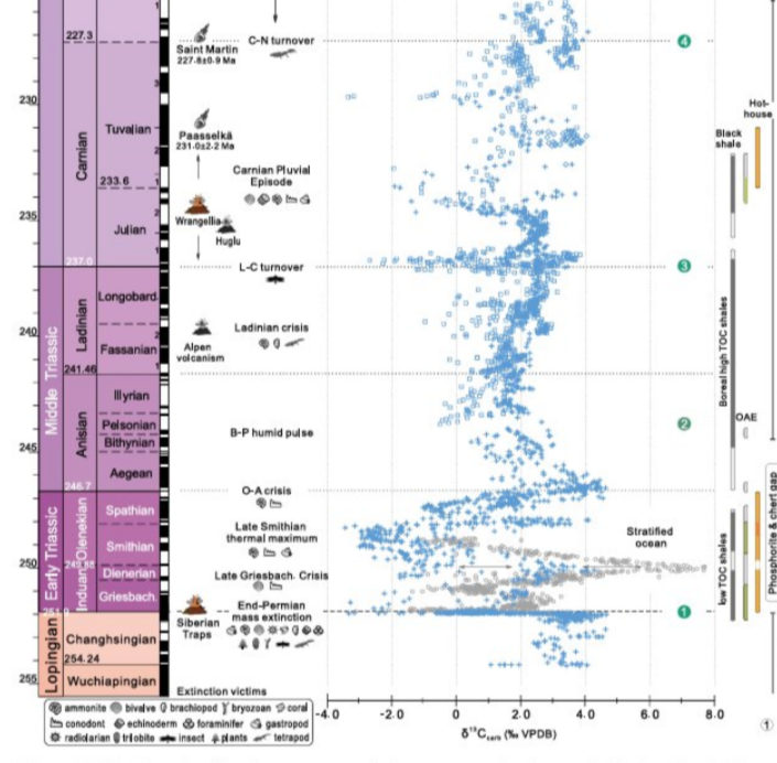 JamesAl0410008's tweet photo. From the catastrophic End Permian extinctions to the End Turonian asteroid impact, the lower Triassic was 25 million years of crises and disasters, with 3 major volcanic episodes and 2 major asteroid impacts. https://t.co/NAibI5vEpn