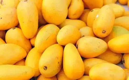 karirfess's tweet photo. cuma boleh pilih 1 aja..

di antara 4 buah ini, kamu lebih suka yg mana?
- pisang
- nanas
- mangga
- lemon https://t.co/hmZTA55PZx