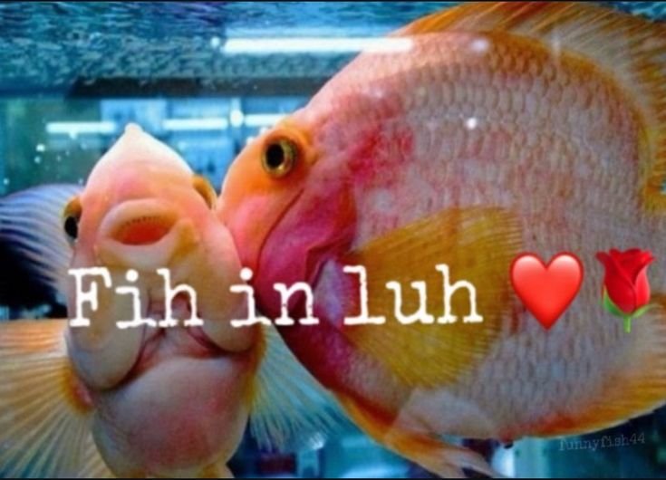 0rm41c's tweet photo. @__shushuwa0x Thankyou the shuabear evr https://t.co/7O75Ims61o
