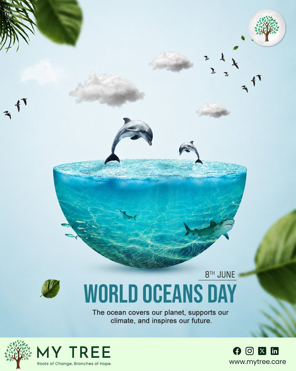 mytree70's tweet photo. This World Ocean Day, let's celebrate and protect the blue heart of our planet. Every effort to reduce pollution and care for our waters helps preserve the oceans that sustain life; both above and below the surface.

#WorldOceanDay #MyTreeEnviros #ProtectOurOceans https://t.co/fdGhZ08KnY