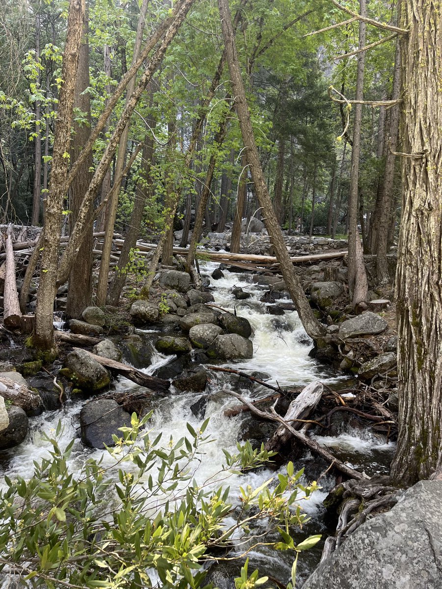 BLUSKHY's tweet photo. nature !! https://t.co/EMjJsNGgnJ