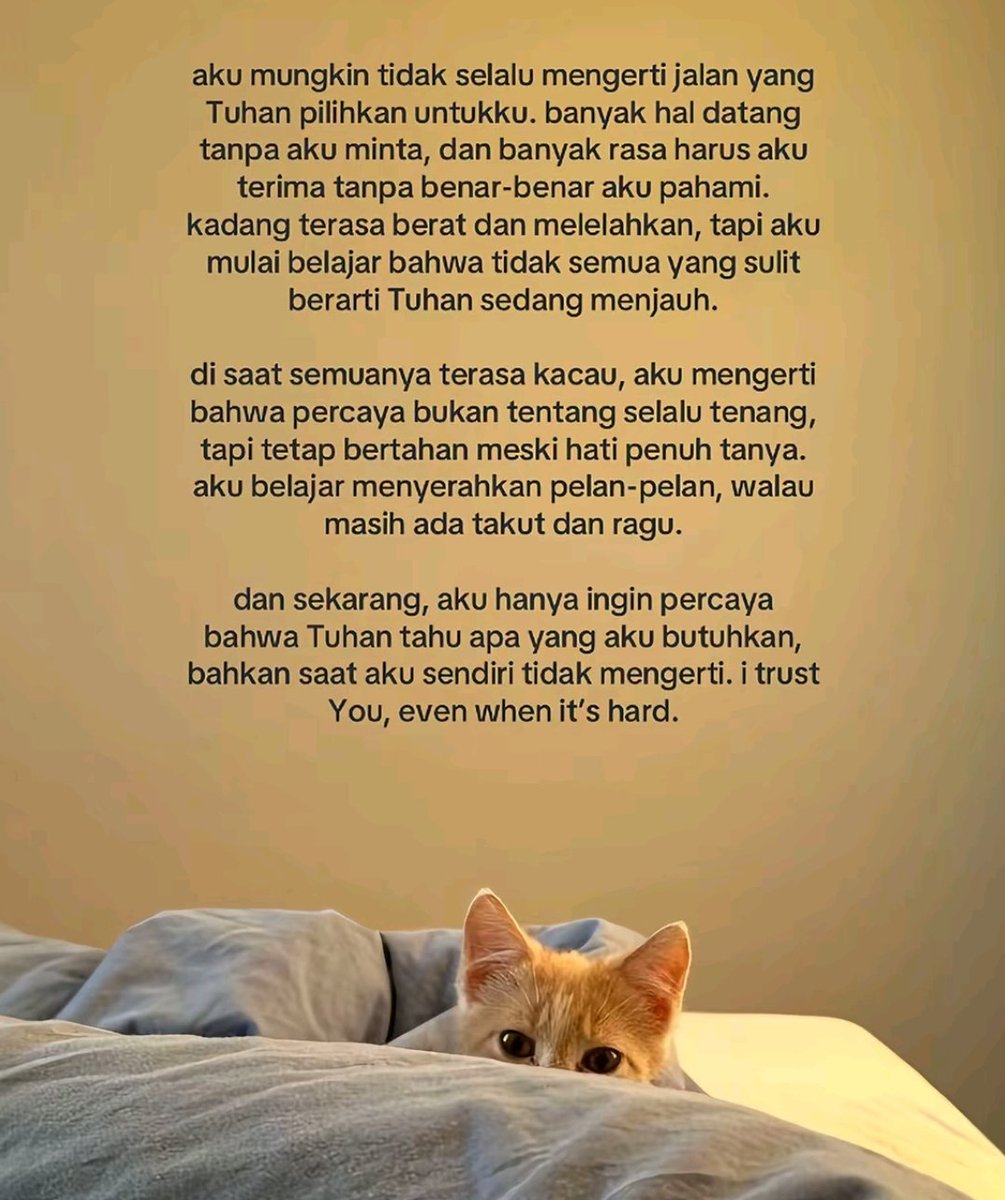 ervdvt's tweet photo. https://t.co/uwm8CNui5e