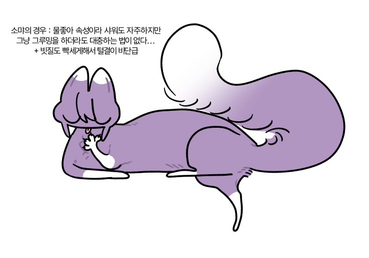 S2_kaosom's tweet photo. 그루밍 홍월 편 https://t.co/6zxybwIJpD