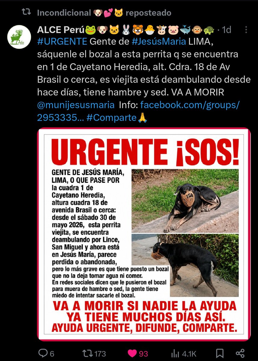 lynetteklt's tweet photo. @rommyb Esto apareció ayer... https://t.co/jh3nnoDQIQ