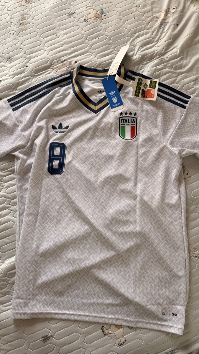 shimadzu222's tweet photo. 意大利没进世界杯，那今年的主队就是日本队了。亚洲之光！赛高！ https://t.co/nAirUcdqrv