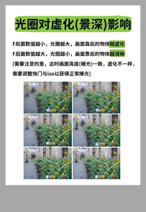 sorchaellen's tweet photo. [New to photography Start here: Master 3 basics—aperture, shutter speed, ISO. They’ll turn your blurry snaps into sharp, beautiful shots. ]， https://t.co/GlGxKcN4Qq