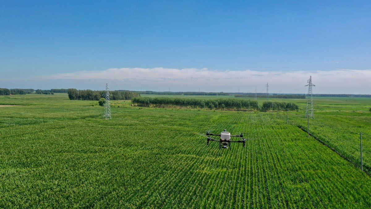ChinaDaily's tweet photo. Through a growing network of science and #technology backyards, students and researchers living and working in villages are not only helping individual farmers solve technical problems but are also providing integrated services to family farms, cooperatives and agricultural service companies. #FiveYearStrides #agriculture https://t.co/CsVviX5MOU
